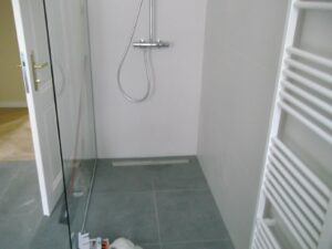 Wohnungssanierung Wien | Bad, WC, Dusche & Küche vom Installateur – A-S-G Haustechnik Dusche